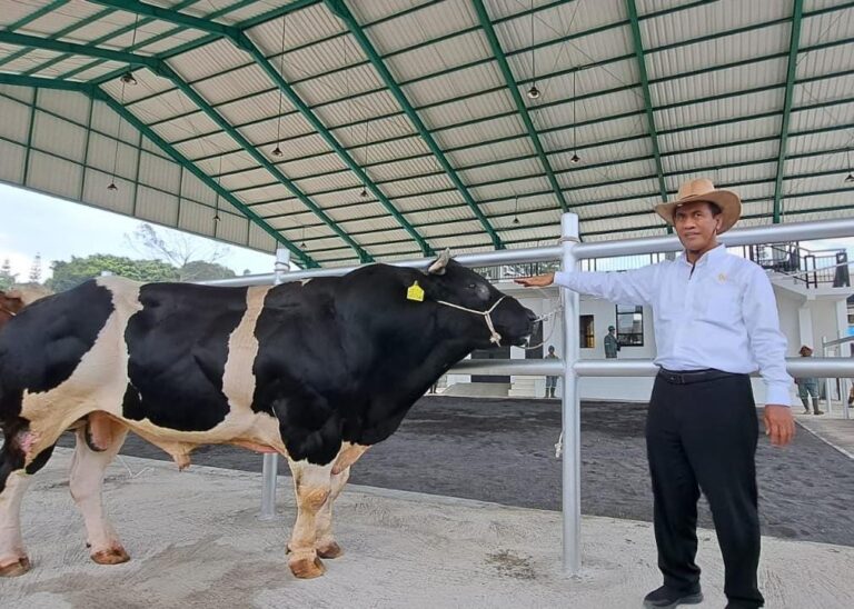 Mentan Amran Pacu Produktivitas Semen Beku untuk Tingkatkan Populasi Ternak