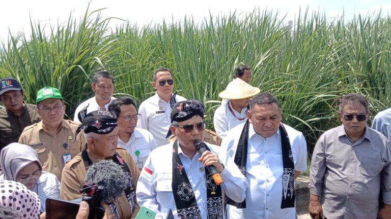 Wamentan Ungkap Langkah Kongkrit Genjot Produksi untuk Swasembada Gula Nasional