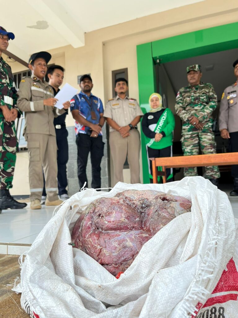 Tak Layak Konsumsi, Daging Rusa Selundupan Asal PNG Dimusnahkan
