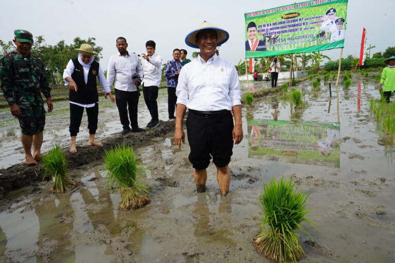 Percepatan Produksi Beras Nasional, Mentan Amran Serukan “Tanam Culik” dari Tuban