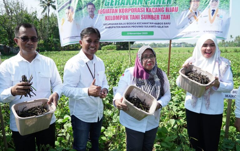 Maros Semangat Meningkatkan Produksi Kacang Hijau Nasional