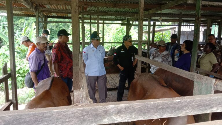 Wamentan Harvick Dorong Kabupaten Sorong Jadi Lumbung Ternak di Papua Barat Daya