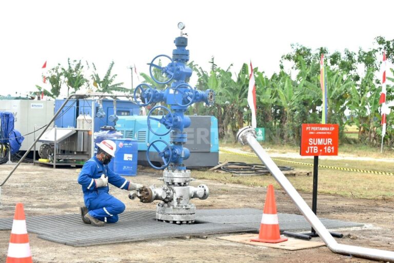 Carbon Capture Storage (CCS) Sebagai Pendorong Perekonomian Indonesia, Memanfaatkan Potensi untuk Masa Depan Hijau