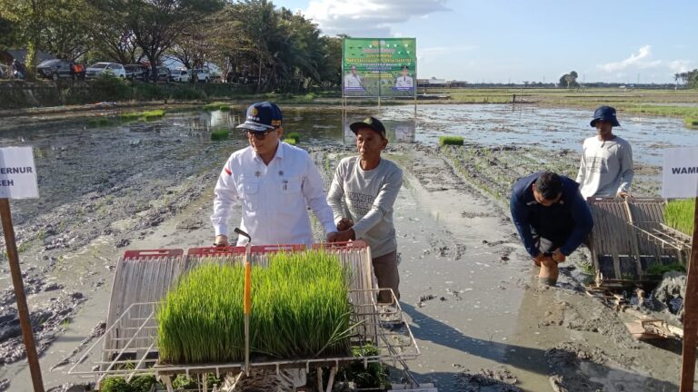 Tanam Padi di Aceh Besar, Wamentan Minta Indeks Pertanaman Ditingkatkan