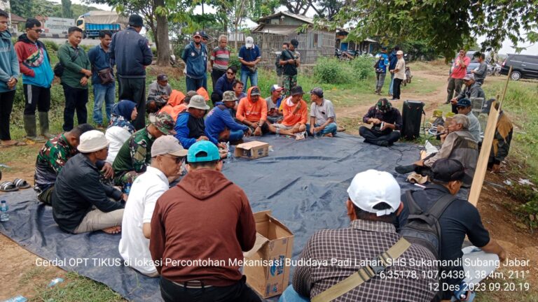 Kawal Peningkatan Produksi Padi, Kementerian Pertanian Lakukan Gerakan Pengendalian Tikus Di Subang