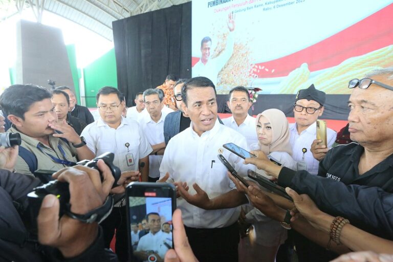 Blusukan ke 11 Provinsi, Mentan Amran Usulkan Tambah Kuota Pupuk Subsidi