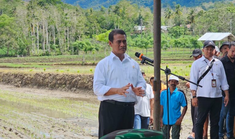 Tanam Padi di Bone, Mentan Amran: Saya Turun untuk Selesaikan Masalah