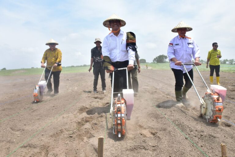 Mentan Amran Tanam Jagung di Sumbawa Untuk Perkuat Persediaan Nasional 2024