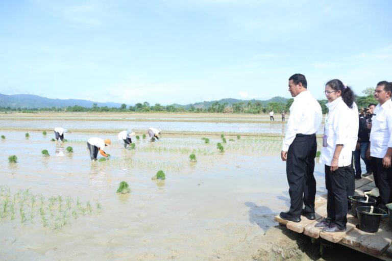 Pastikan Pupuk Subsidi Aman, Mentan Amran Dorong Petani Konawe Wujudkan Swasembada