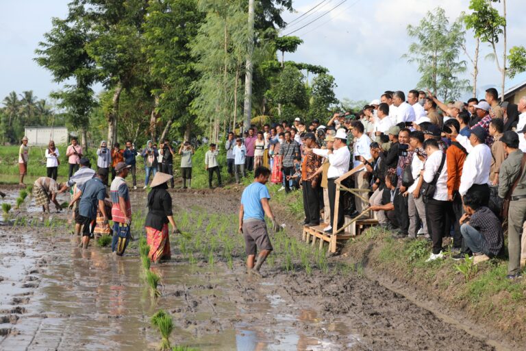 Wakil Bupati Gunungkidul: Mentan Amran ke Yogyakarta Petani Termotivasi