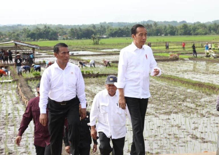 Presiden Ajak Petani Jawa Tengah Percepat Tanam di Bulan Januari 2024