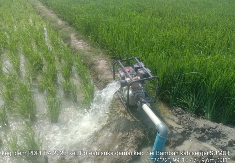Dem DPI Bantu Petani Serdang Bedagai Tampik Cekaman Kekeringan Akibat El Nino