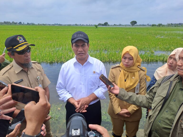 Kabar Baik Untuk Petani, Mentan Amran Pastikan Presiden Setujui Diskon Pupuk Subsidi 40 Persen