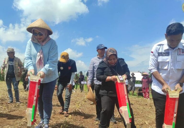 Kementan Bersama Gempita Genjot Penanaman Jagung di Subang, Jabar