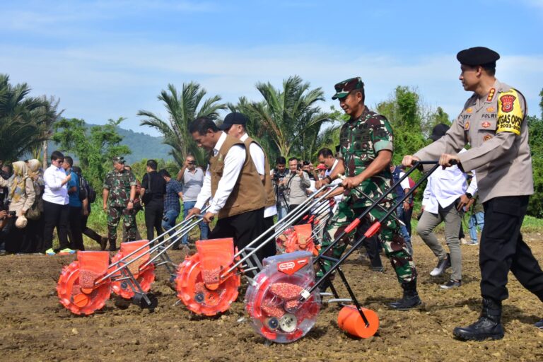 Kolaborasi Kementan-TNI Percepat Swasembada, Mentan Amran Panen dan Tanam Jagung di Aceh