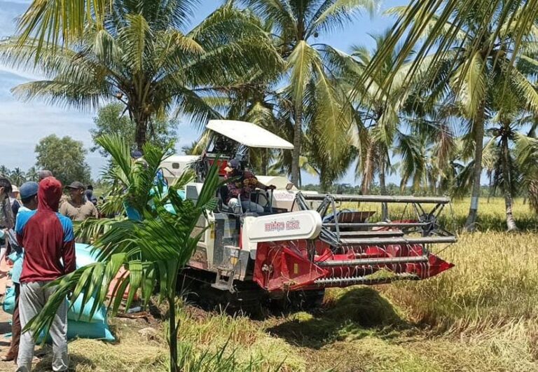 Gelar Panen Raya, Kabupaten Maros Siap Banjiri Beras Pasar Nasional