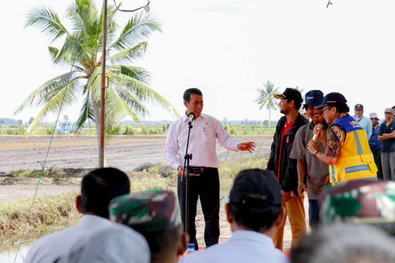Mentan Amran Kunker di Sumsel, Kejar Produksi Pangan melalui Optimalisasi Lahan Rawa
