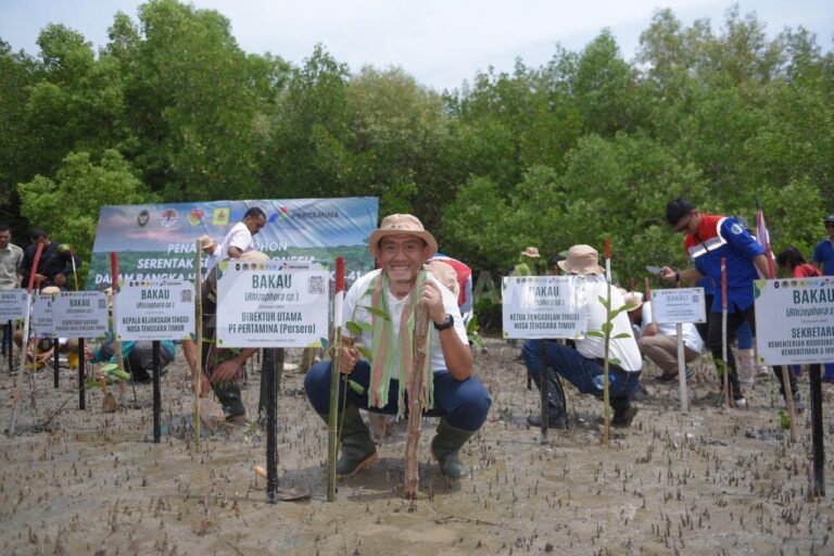 Upaya Mitigasi Perubahan Iklim, Pertamina Rehabilitasi Mangrove di Nusa Tenggara Timur