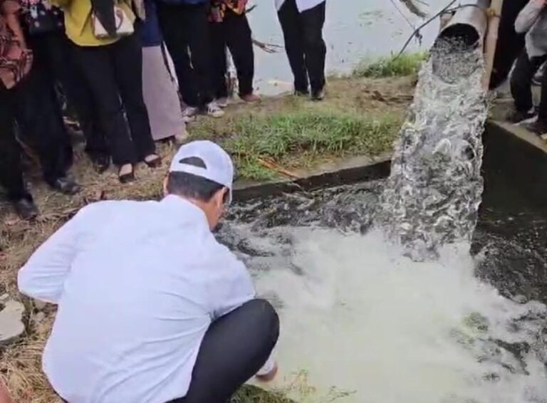 Ini Solusi Darurat Kementan Atasi Dampak Banjir Di Pati
