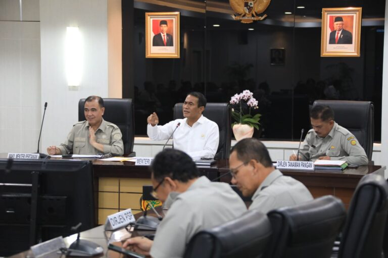 Mentan Amran Stop Impor Cegah Harga Jagung Petani Jatuh