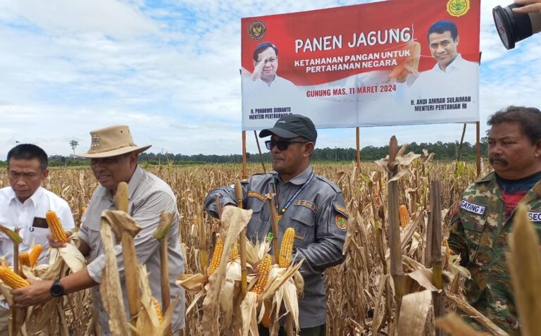 Mentan Amran: Hasil Panen Jagung Melimpah, Antisipasi Harga di Tingkat Petani Anjlok
