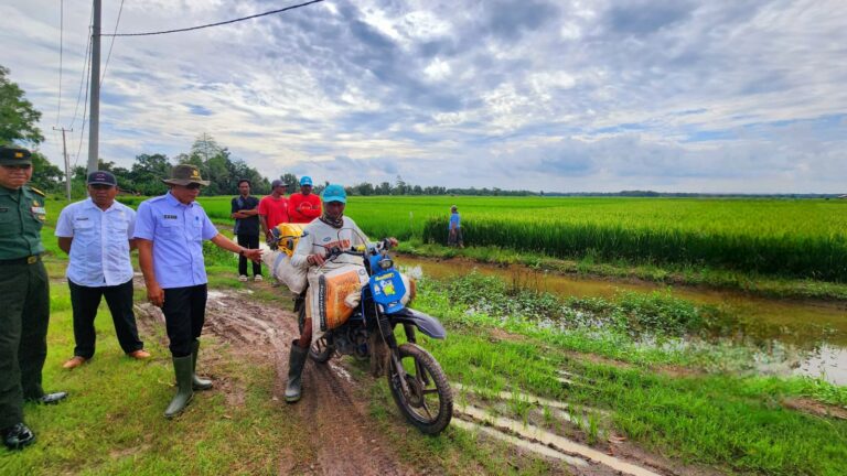 Kuota Pupuk Bersubsidi Provinsi NTT Bertambah Hampir Dua Kali Lipat, Produktivitas Diharapkan Meningkat