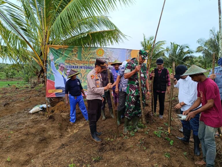 Mentan: Merah Putih Memanggil Kita Segera Turun Ke Sawah