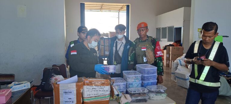 Maraknya Penyelundupan Reptil Melalui Bandar Udara Mopah