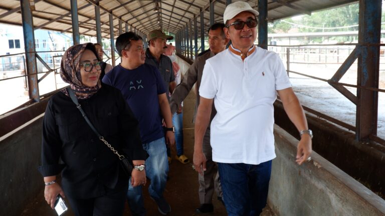 Praktik Baik di Peternakan Terintegrasi Balaraja, Sholawat Diperdengarkan di Kandang Sapi