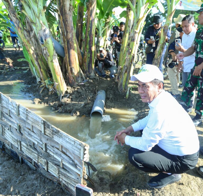 Optimalkan Lahan Pertanian, Mentan Amran Gencarkan Pompanisasi di Area Pesawahan Kabupaten Lamongan