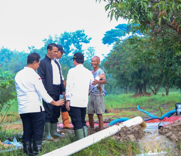 Program Pompanisasi, Kementan Siap Airi 300.000 Hektare Sawah di Sumedang