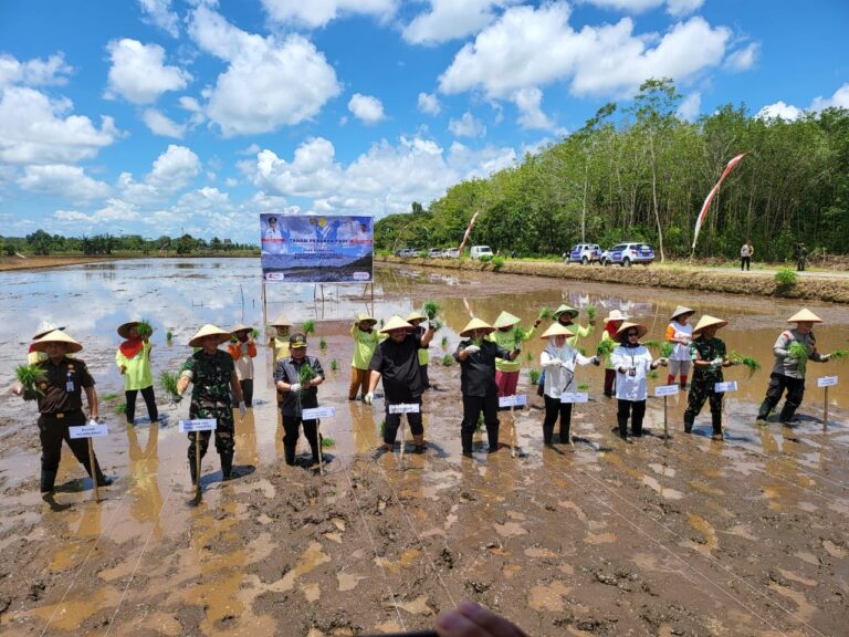 Kebut Optimalisasi Lahan, Kementan Gelar Tanam Padi Perdana di Kalimantan Tengah