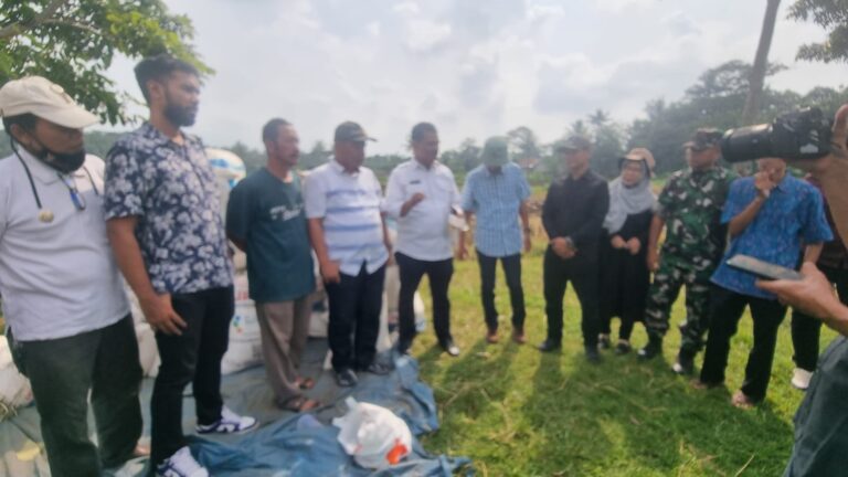 Kementan Panen, Serap Gabah dan Percepatan Tanam di Cirebon
