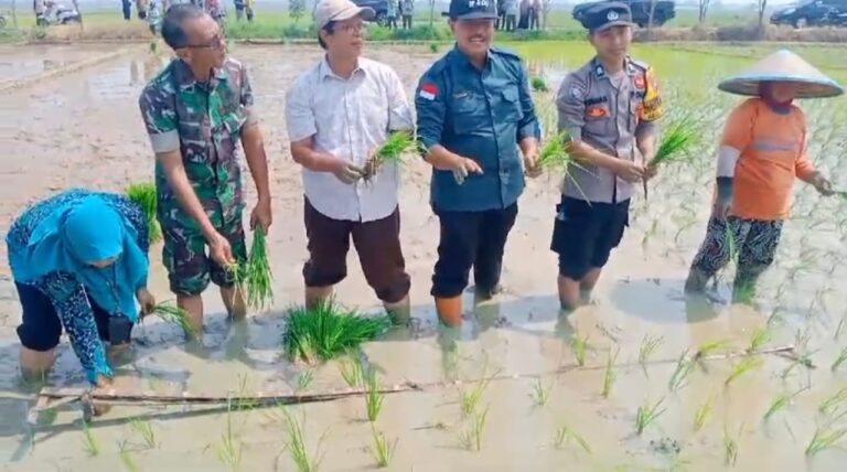 Kementan Gerakkan Percepat Tanam dan Amati Kualitas Olah Lahan dan Persemaian Padi di Pekalongan