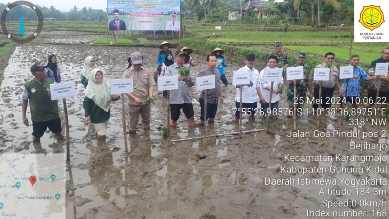 Kementan Gerak Cepat Kawal Masa Tanam Bebas Hama di Gunung Kidul, Tambah Alokasi Pupuk Dua Kali Lipat