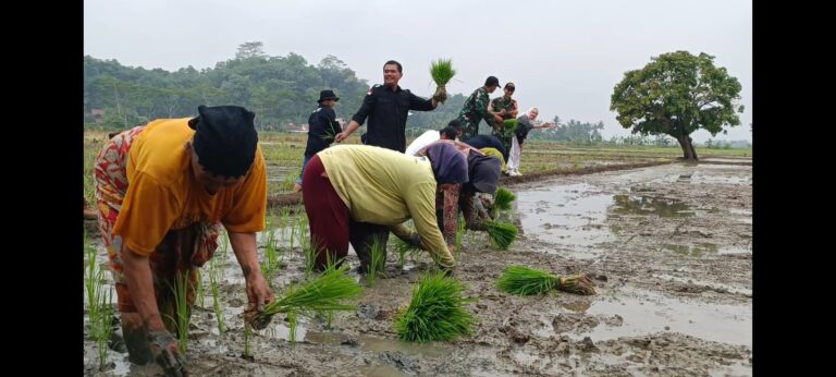 Kementan Gencar Giatkan Percepatan Tanam dan Antisipasi Hama di Kabupaten Pangandaran