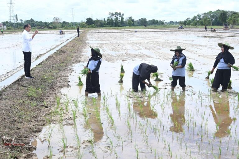 Potensi Kekeringan Panjang, Presiden Tinjau Pompanisasi di Kotawaringin Timur