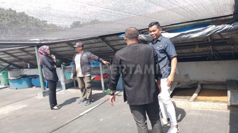 82% Limbah Hotel Berhasil Dikelola Mandiri oleh Patra Jasa