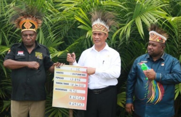 Mentan Amran Targetkan Papua Barat Jadi Contoh Hilirisasi Kelapa Sawit