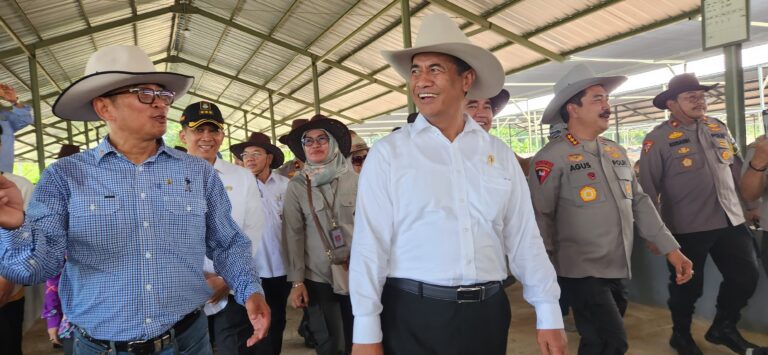 Mentan Amran Pastikan Ketersediaan Hewan Kurban Aman dan Mencukupi