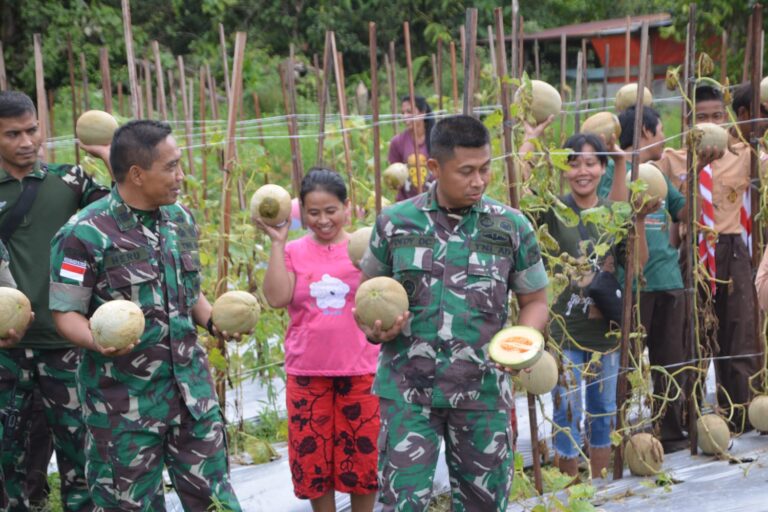 Dandim 1710/Mimika Pimpin Panen Tanaman Melon Di Lahan Kodim