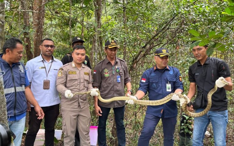 Sebelum Dikembalikan Ke Alam, Karantina Periksa Kesehatan 150 Satwa Liar
