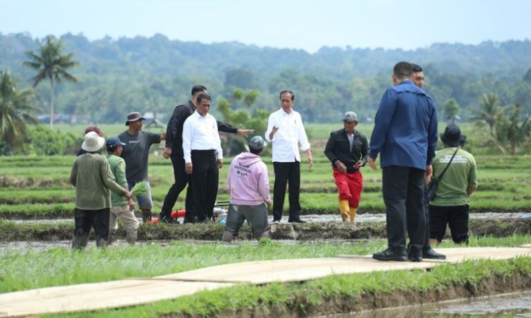 Petani Sebut Jokowi dan Mentan Amran Berkah Bagi Kemajuan Pertanian Indonesia