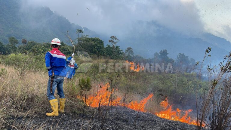 Respons Cepat PGE Area Kamojang Bantu Padamkan Kebakaran Hutan Gunung Guntur