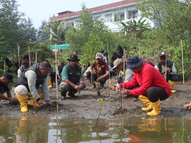 KKP Bersama Pemda dan Masyrakat Kolaborasi Hijaukan Pesisir Pangandaran
