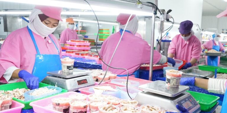 Surplus Neraca Ekspor Perikanan Melonjak Jadi Kado Spesial HUT ke 25 KKP