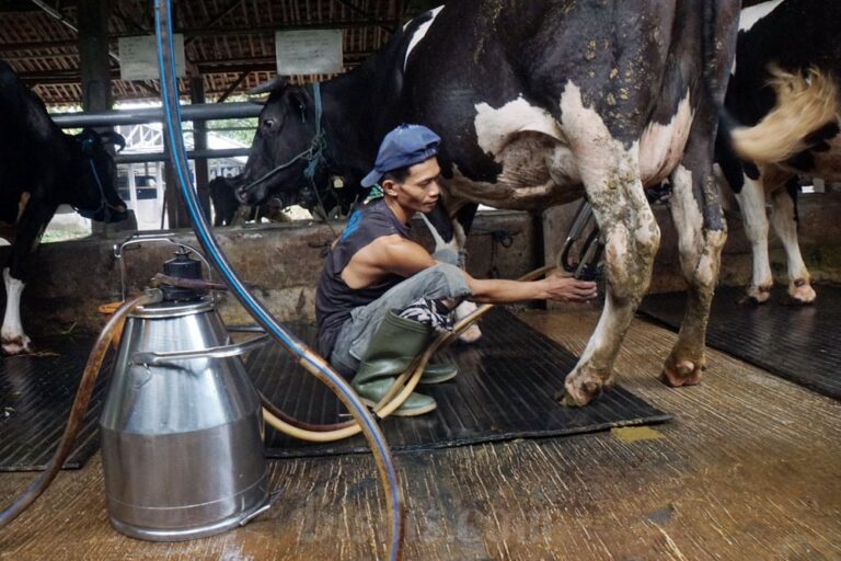 Menperin Dukung Upaya Menteri Pertanian untuk Serap Susu dalam Negeri