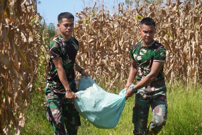 Korem 012/TU Dukung Program Swasembada Pangan Lewat Panen Jagung