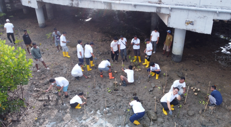 PT Jasamarga Bali Tol Rayakan HUT ke-13 dengan Penanaman 1000 Bibit Mangrove