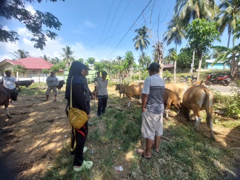 Kementan Sigap Merespon Kasus Penyakit Mulut dan Kuku di Gorontalo